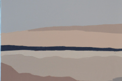 DSC-0006
