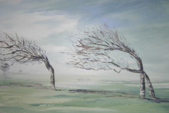 photos-peinture-003